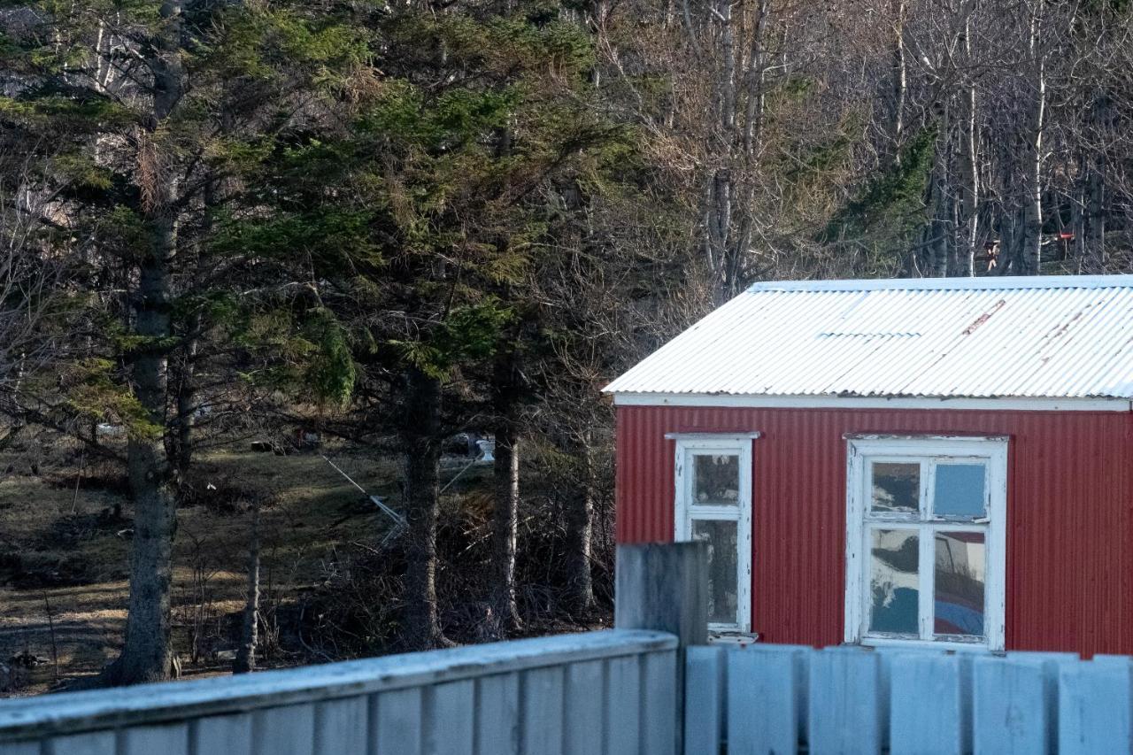 The Guesthouse By The Fjord Thingeyri ภายนอก รูปภาพ