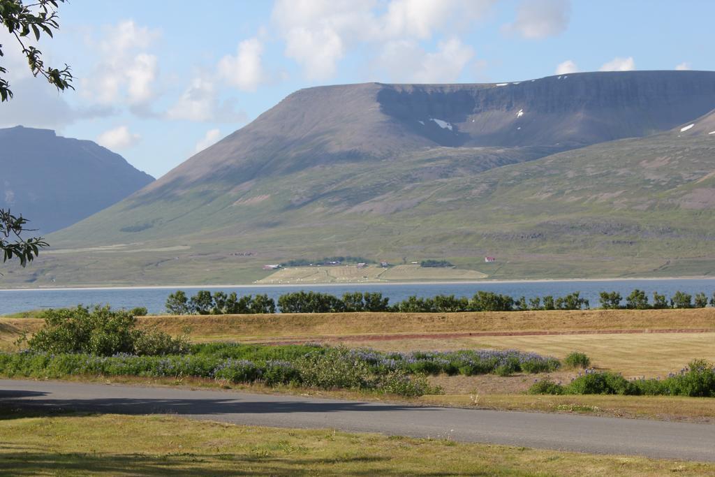 The Guesthouse By The Fjord Thingeyri ภายนอก รูปภาพ